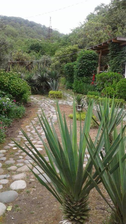 Фото Гостевого дома Место под солнцем Lidzava 2